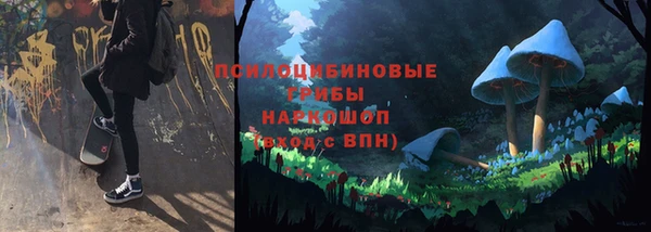 PSILOCYBIN Нефтекумск