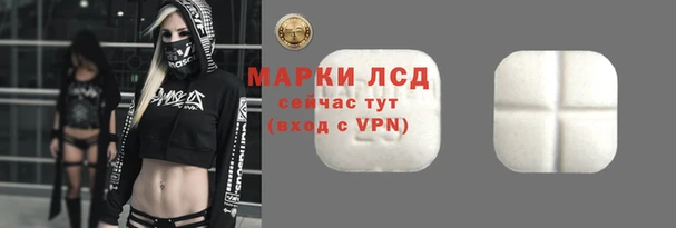ECSTASY Новодвинск