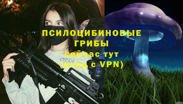 мяу мяу мука Дмитров