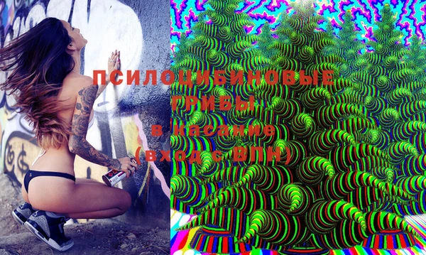 mdma Дмитриев